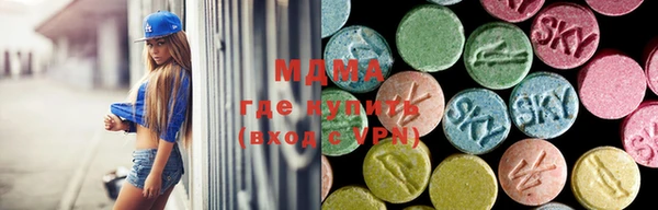 прущие грибы Верея