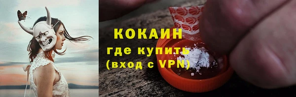 молекула духа Богданович