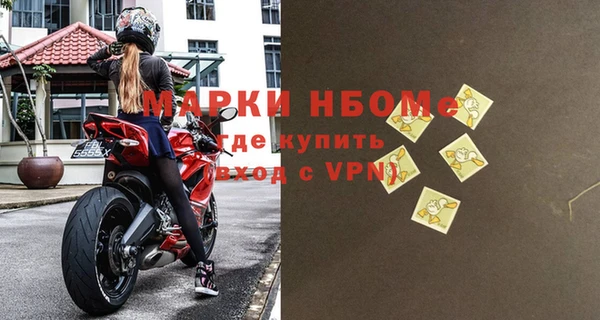 молекула духа Богданович