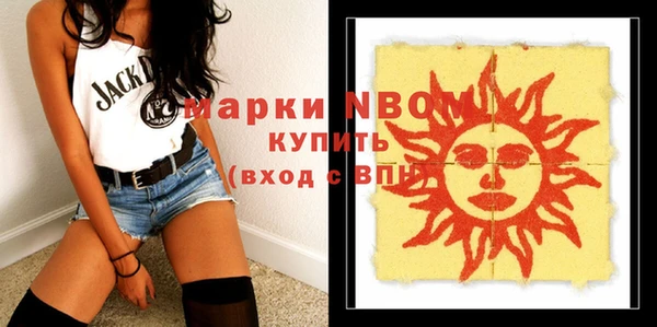 молекула духа Богданович