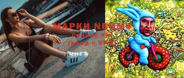 молекула духа Богданович
