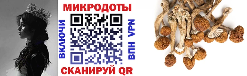где найти наркотики  даркнет какой сайт  Галлюциногенные грибы ЛСД  Волгореченск 